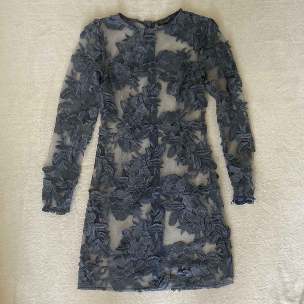 Topshop floral lace mesh long sleeve dress